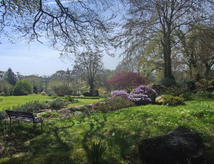 Llwyngarreg Garden, United Kingdom